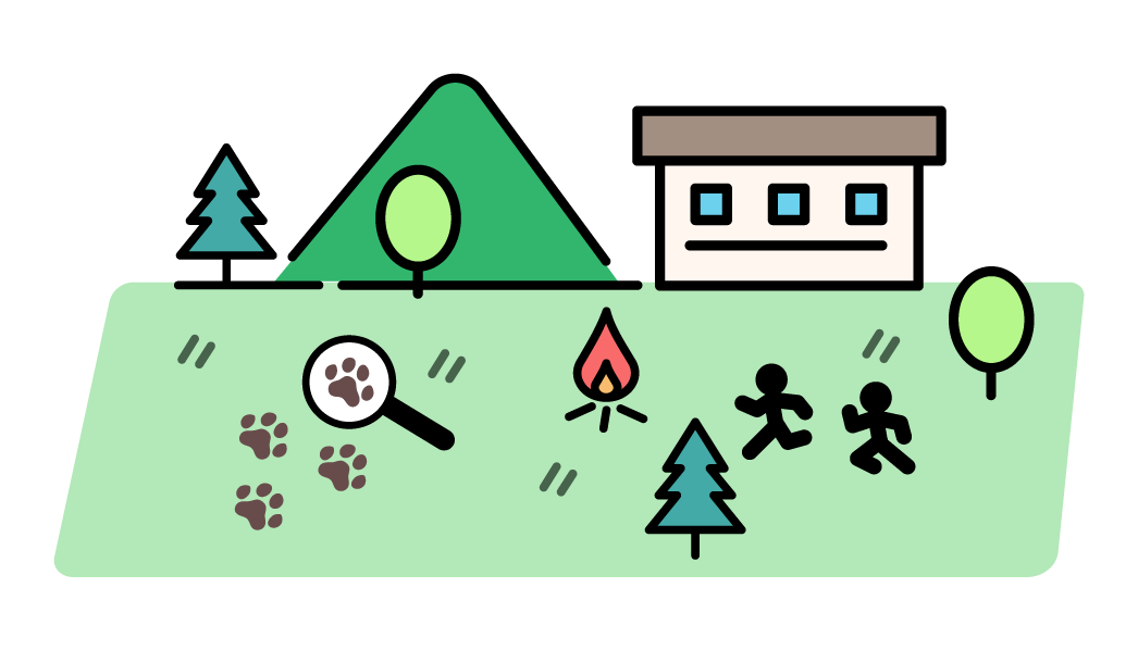 主な活動